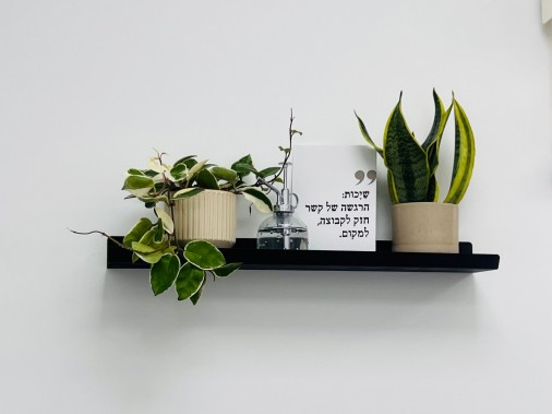 WhatsApp Image 2024-07-18 at 13.52.04